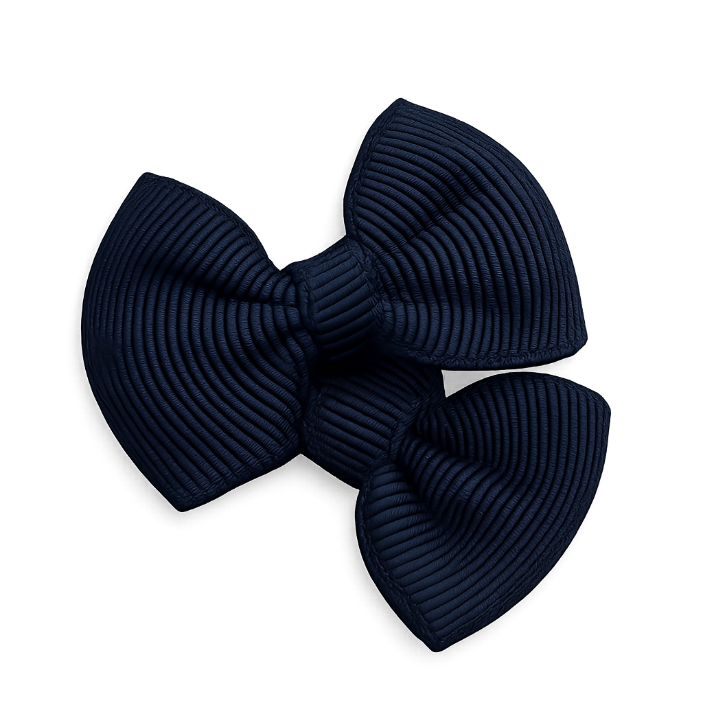 Duo de barrettes bébé fille